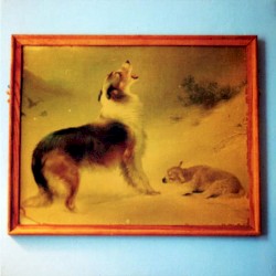 Travels in Constants (Vol. 21): The Rescue