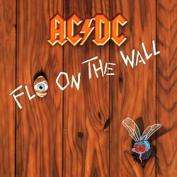 Fly on the Wall