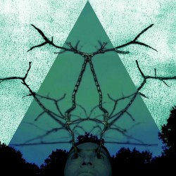 Acids, Volume 1