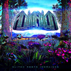 Glitch Roots Ingrained