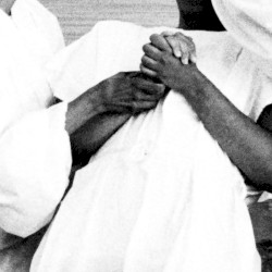 The Purification Loops