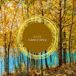 In Search of Sunrise 20