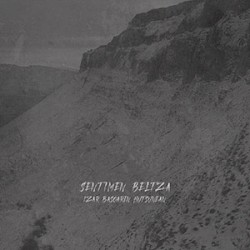 Izar basoaren hutsunean