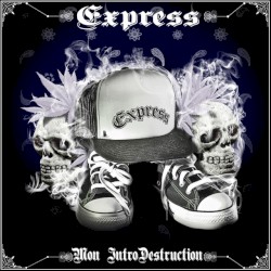 Mon Introdestruction