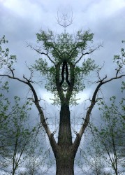 Negotiation Negative