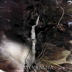 Umbras e forestas