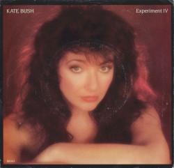 Experiment IV