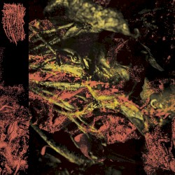 Permanent Destitution