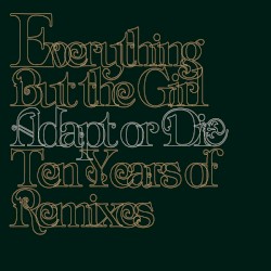 Adapt or Die: Ten Years of Remixes