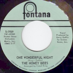 One Wonderful Night / She Don't Deserve You