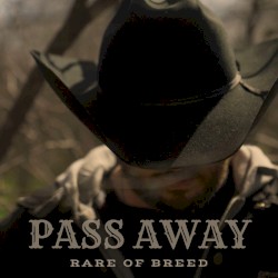 Pass Away - Single