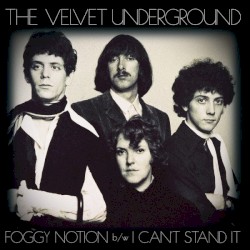 Foggy Notion / I Can't Stand It