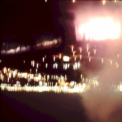 Massachusetts Palm Clearing