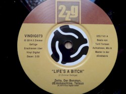 Life's a Bitch / Hagelschauer