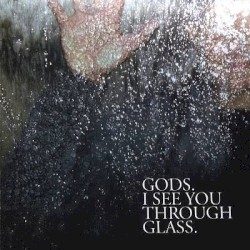 I See You Through Glass