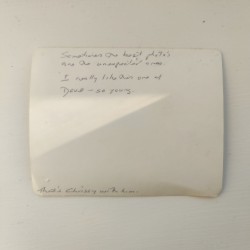 An Afternoon of Playing Cards