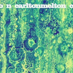 Live at The Golden Lion