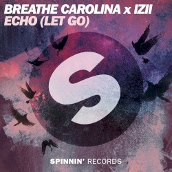 ECHO (LET GO) (extended mix)