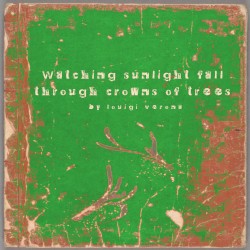 Watching sunlight fall through crowns of trees