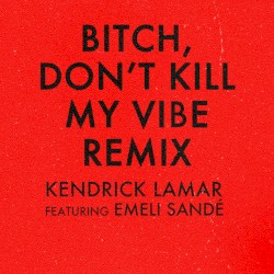 Bitch, Don’t Kill My Vibe (remix)