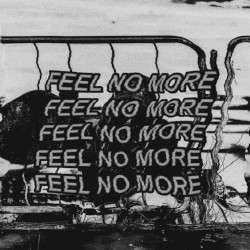 Feel No More