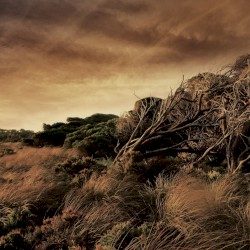 Snake Island (Official Soundtrack to the Novel)