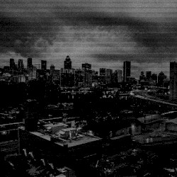 I'm a Race Alienated From This Society