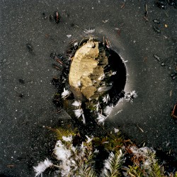 quatre saisons en hiver