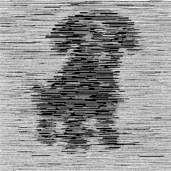 It's clipping.- bmch