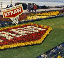 Soundtrack of the Summer