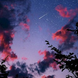 blood stained sheets