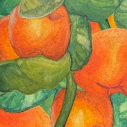 Clementine Trilogy