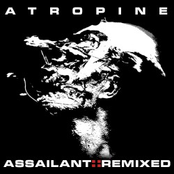 Assailant::Remixed