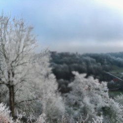 Image Is Everything Pt. 2