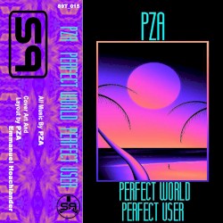 PERFECT WORLD PERFECT USER