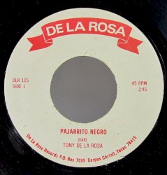 Pajarrito negro / Cuatro paredes