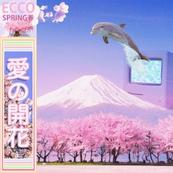 ECCO SPRING春
