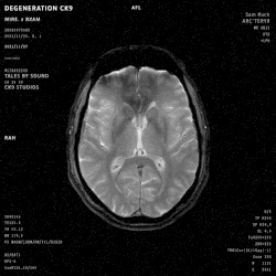 Degeneration (CK9)