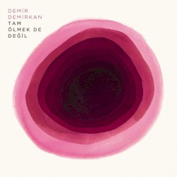 Tam Ölmek De Değil