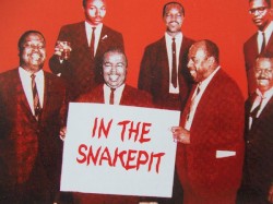 In the Snakepit