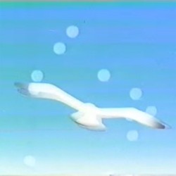 フローティングトランスミッション