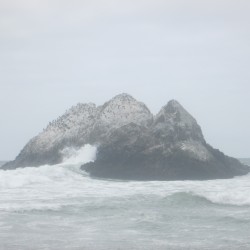 Mother's Day Weekend: Mother's Day