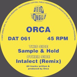 Intalect Remix / Sample and Hold