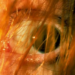 L’AVANT-DERNIER JOUR