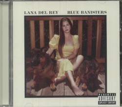 Blue Banisters