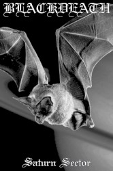 Saturn Sector