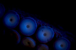 Cognition Alone Doesn't Promise Welfare and Life Satisfaction