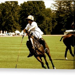 Polo Dolo feat. swnsn (prod. Yung Indigo)