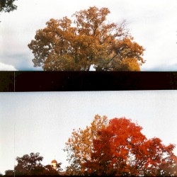 summer made me blue; summer gave me sky