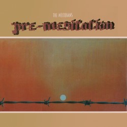 Pre‐Meditation